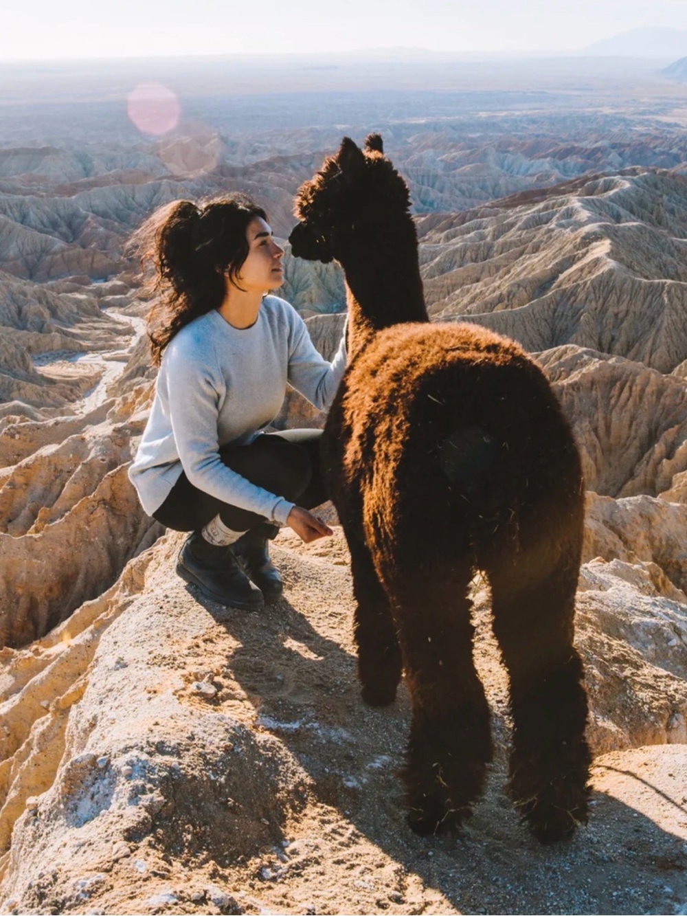 PAKA - The Original Crew - Alpaca Knit Sweater